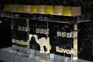 camel_cigarette