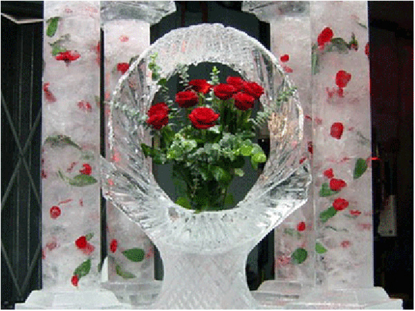 flower17