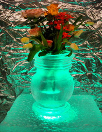 flower19
