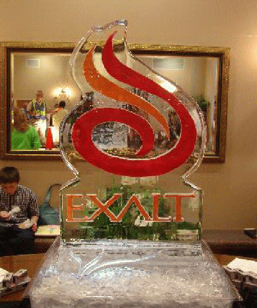 logo20