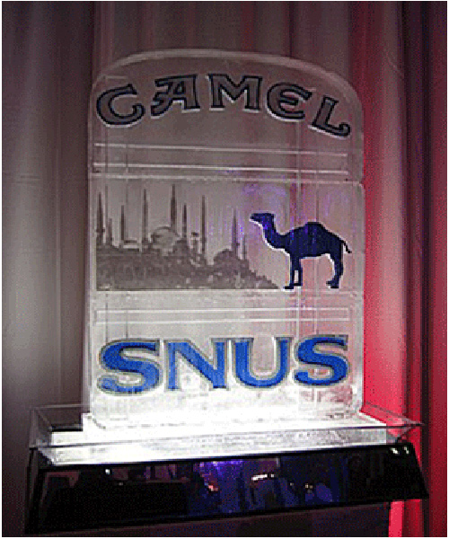 logo24