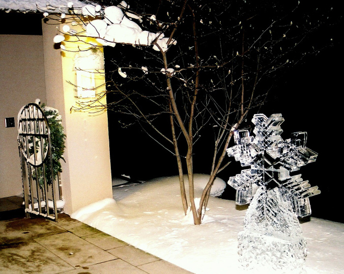 new_year14