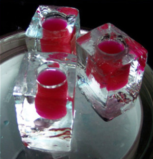 dishes13