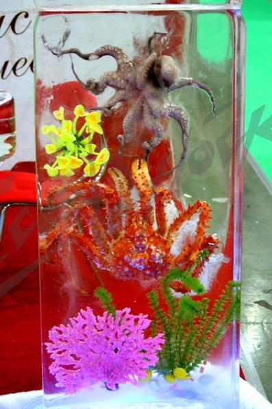 red_ceviar_in_ice17