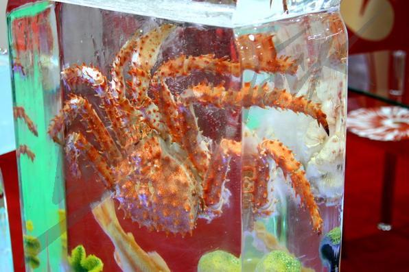 red_ceviar_in_ice9