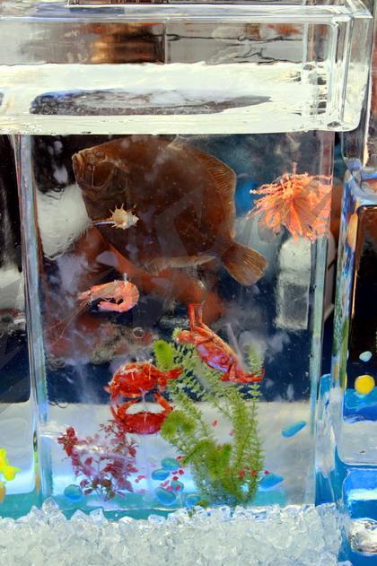 ice_bar_aquarium10