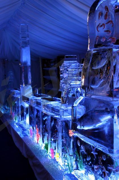 ice_bar_aquarium14
