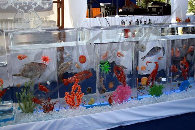 ice_bar_aquarium3