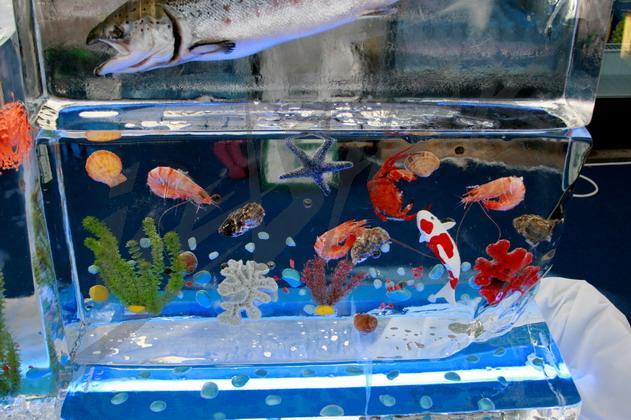 ice_bar_aquarium4