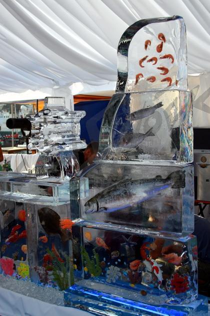 ice_bar_aquarium6