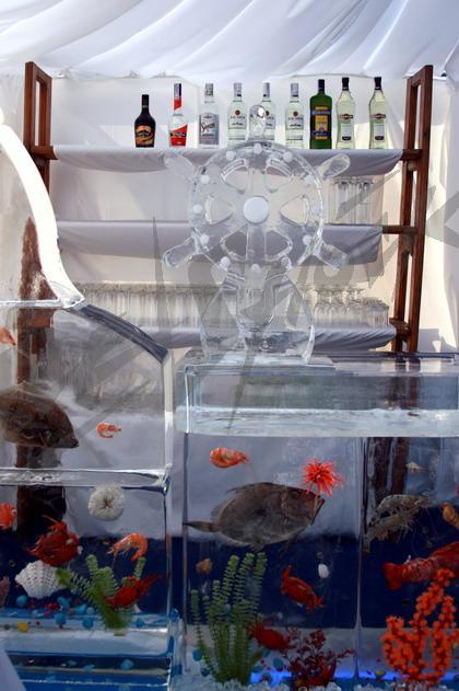 ice_bar_aquarium7