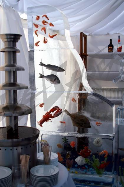ice_bar_aquarium8