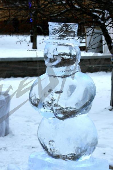 icy_exhibition10