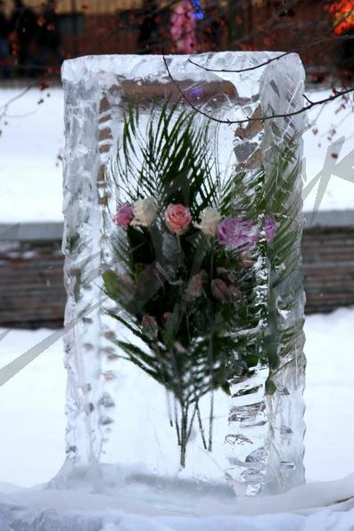 icy_exhibition9