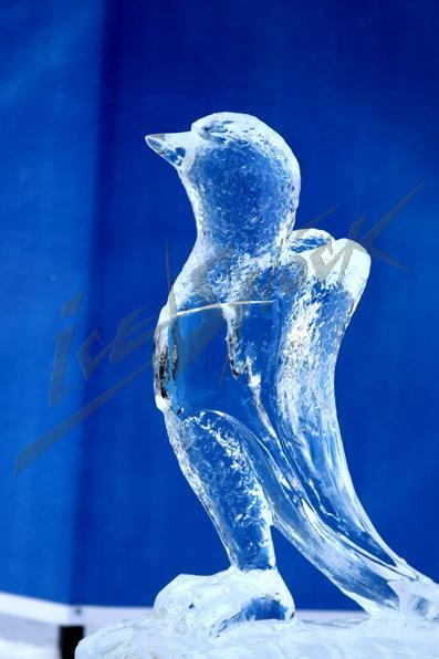 ice_festival_19
