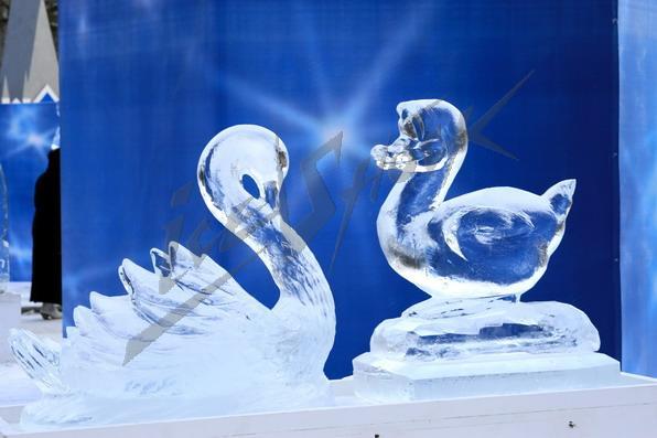 ice_festival_4