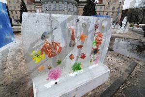 ice_festival_54