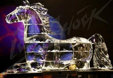 ice_horse_8