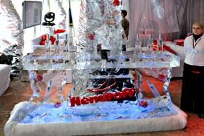 ice_nemiroff_2