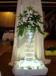 ice_column3