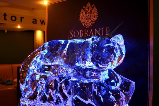 ice_sobranie_3