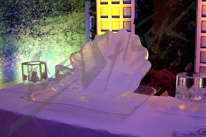 ice_wedding09_bowl_2