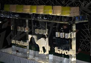 camel1