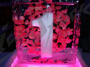 petals_in_ice