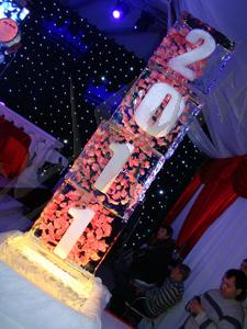 rozes_in_ice