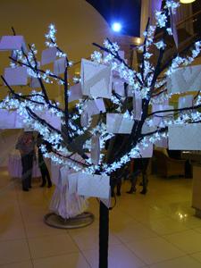 wish-tree
