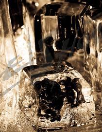 film19