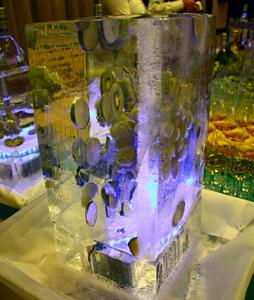 fruit_in_ice2