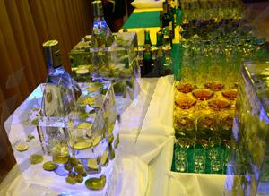 fruit_in_ice6