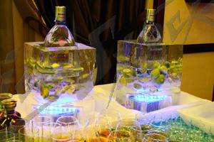 fruit_in_ice7