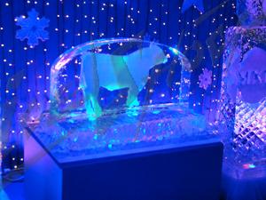 calf_ice