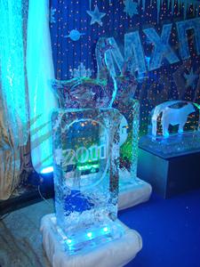 goose_in_ice