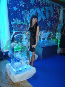 ice_goose