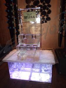 beluga_5