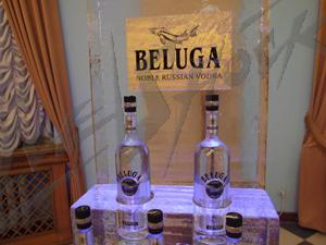 beluga2