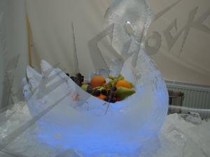 edem17