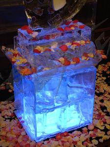 fiancee_ofyear_Ukraine26