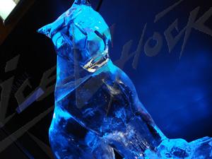 france_6