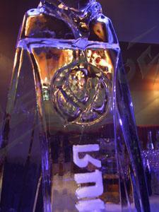 hortica_13