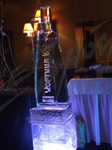 hortica_15