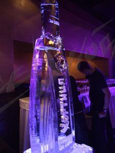 hortica_6