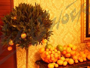 intercontinental_18