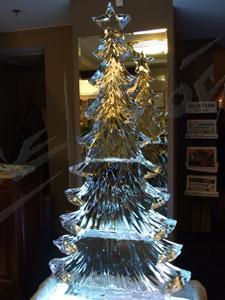 fir_tree_5