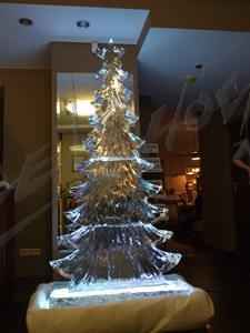 fir_tree_6