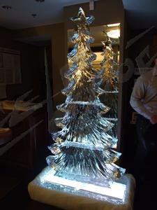 fir_tree_8