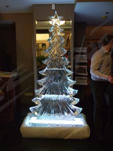 fir_tree_9